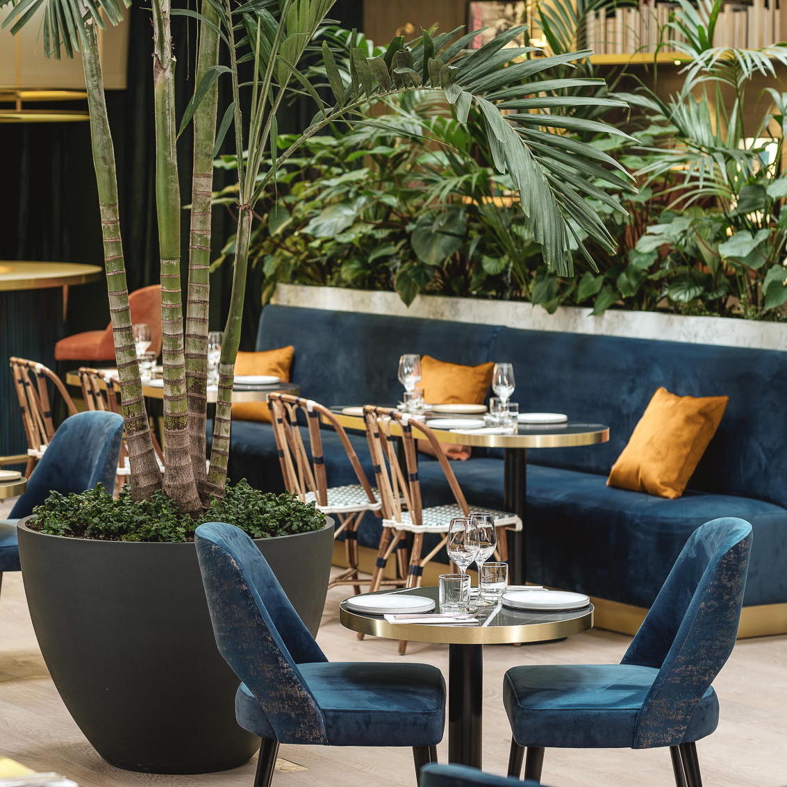 Pley Hotel